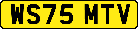WS75MTV