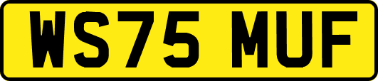 WS75MUF