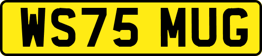 WS75MUG