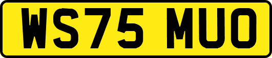 WS75MUO