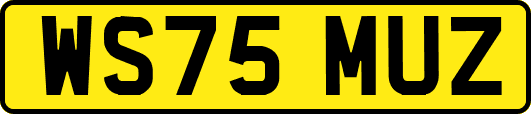 WS75MUZ
