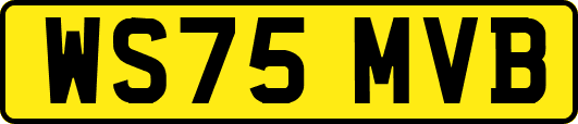 WS75MVB