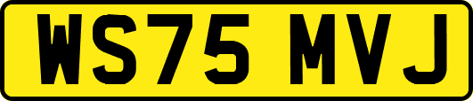 WS75MVJ