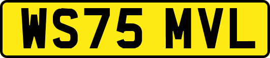 WS75MVL