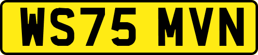WS75MVN