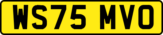 WS75MVO