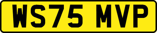WS75MVP