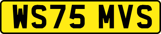 WS75MVS
