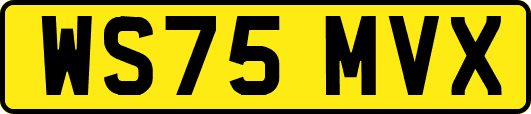 WS75MVX