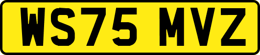 WS75MVZ
