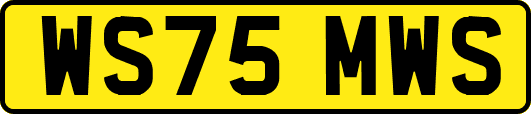 WS75MWS
