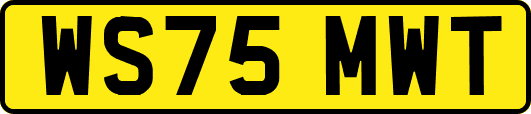 WS75MWT