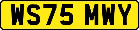 WS75MWY