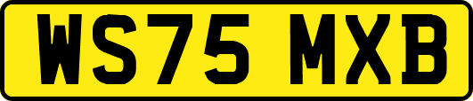 WS75MXB