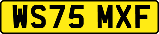 WS75MXF