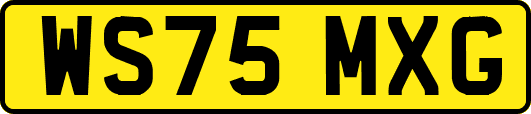 WS75MXG