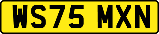 WS75MXN