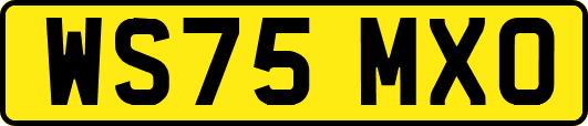 WS75MXO
