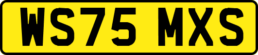 WS75MXS