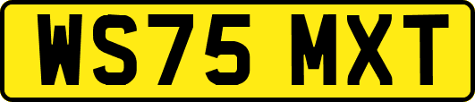 WS75MXT