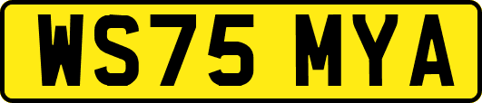 WS75MYA