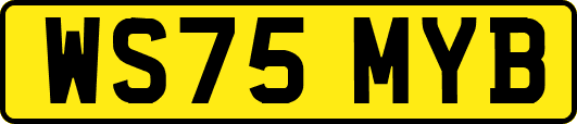 WS75MYB
