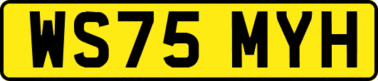 WS75MYH