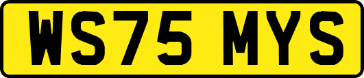 WS75MYS