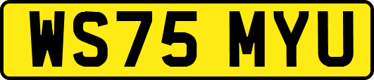 WS75MYU