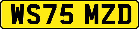 WS75MZD