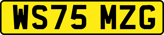 WS75MZG