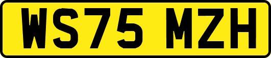WS75MZH