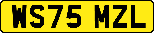 WS75MZL