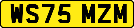 WS75MZM