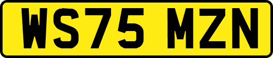 WS75MZN