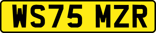 WS75MZR