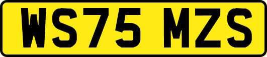 WS75MZS