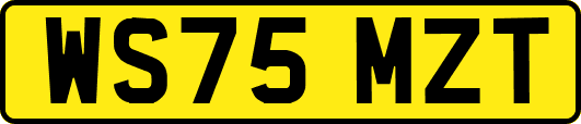 WS75MZT