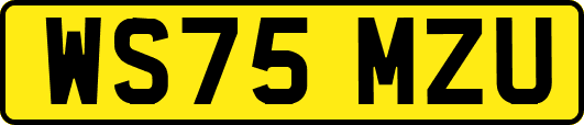 WS75MZU