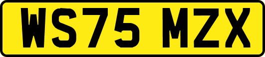 WS75MZX