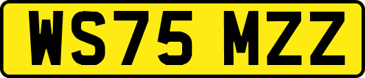 WS75MZZ