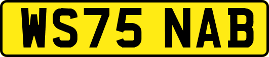 WS75NAB