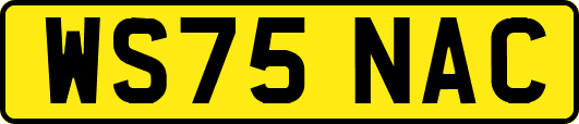 WS75NAC