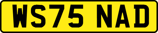 WS75NAD