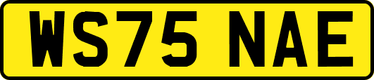 WS75NAE