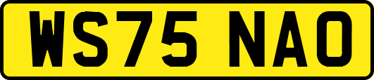WS75NAO
