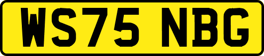 WS75NBG