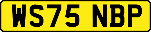 WS75NBP