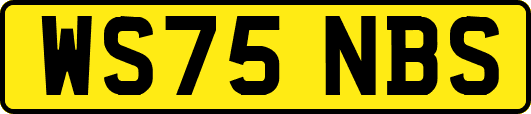 WS75NBS