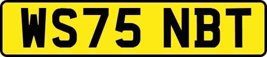 WS75NBT